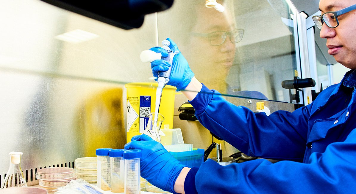 Students working in a lab